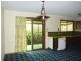Murwillumbah NSW 2484