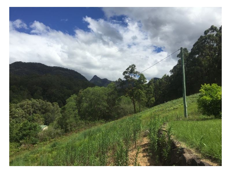 Eungella NSW 2484