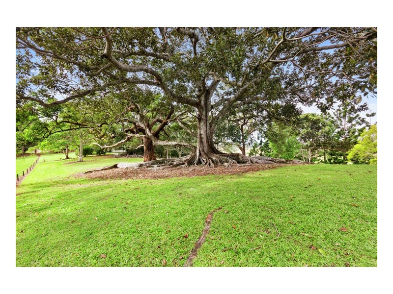 Murwillumbah NSW 2484