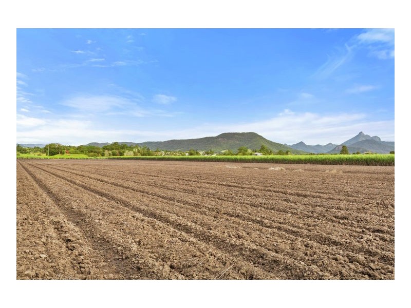 Murwillumbah NSW 2484