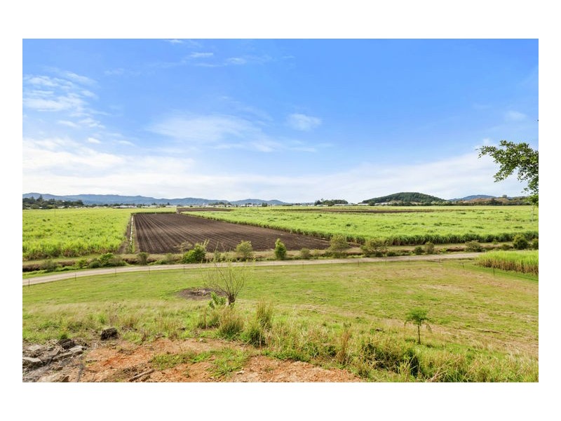 Murwillumbah NSW 2484