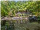 272 Chauviers Road, Upper Crystal Creek NSW 2484