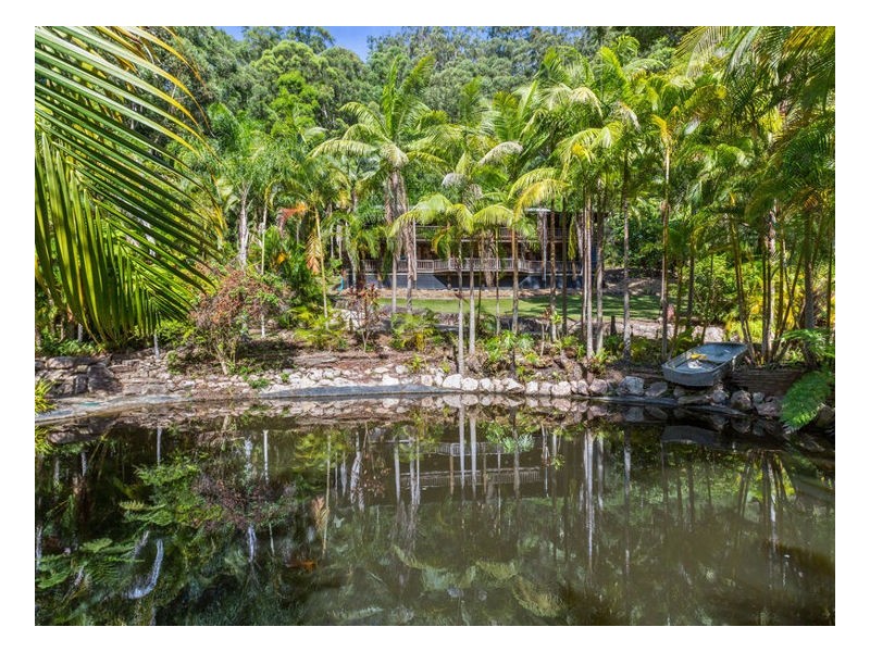 272 Chauviers Road, Upper Crystal Creek NSW 2484