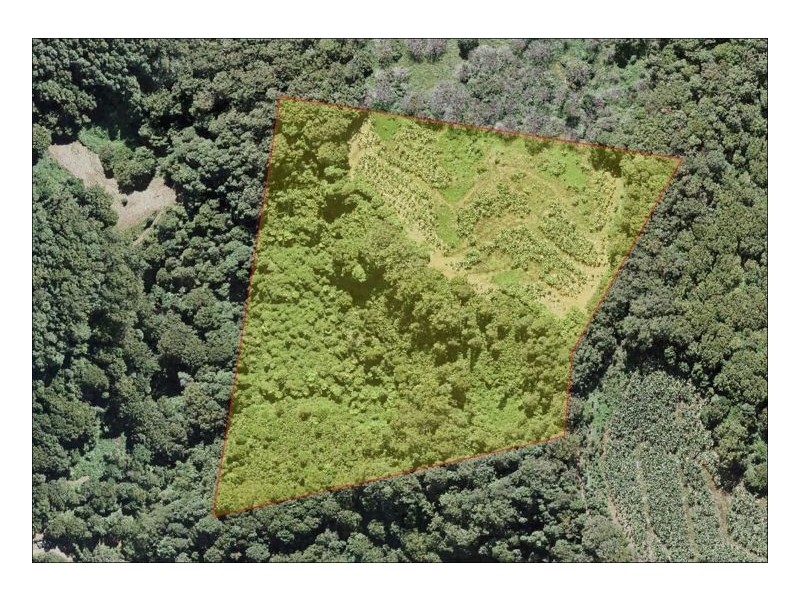 Upper Burringbar NSW 2483