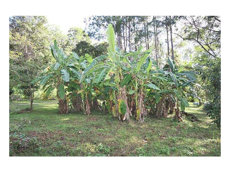 Lot 2 3565 Kyogle Road, Mount Burrell NSW 2484