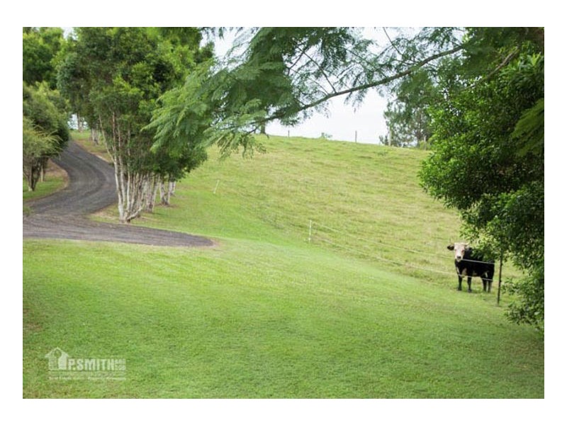 61 Booyong Place, Nobbys Creek NSW 2484