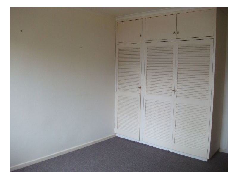 Murwillumbah NSW 2484