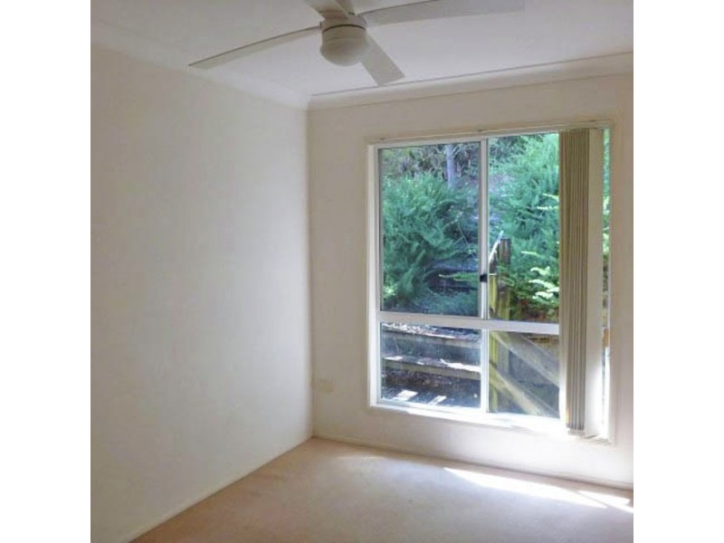 Murwillumbah NSW 2484