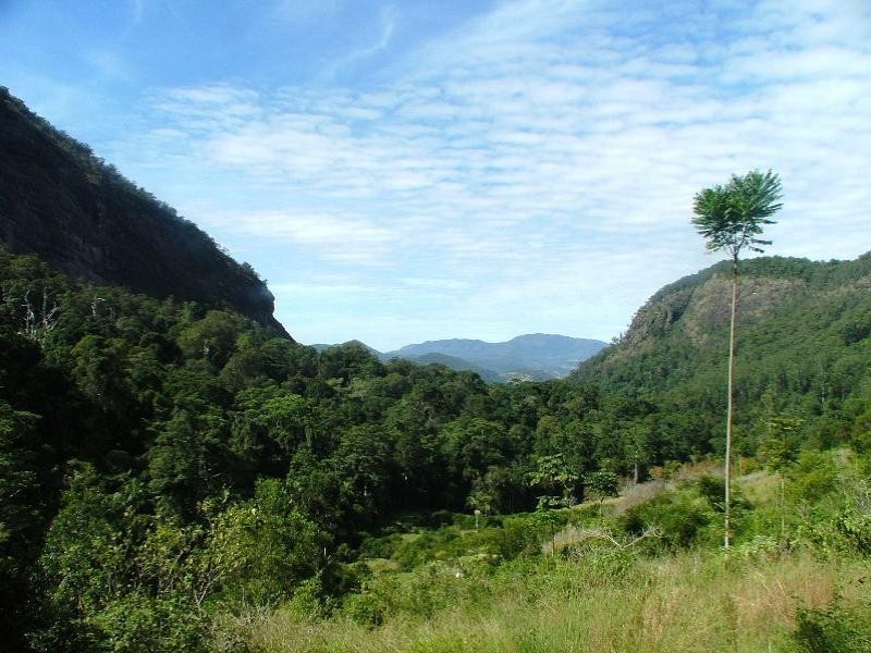 Cedar Creek NSW 2484