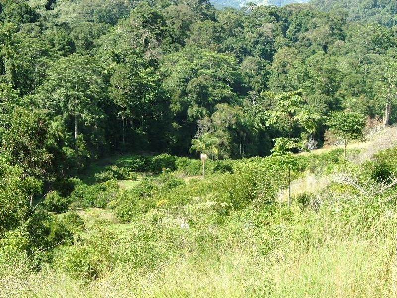 Cedar Creek NSW 2484