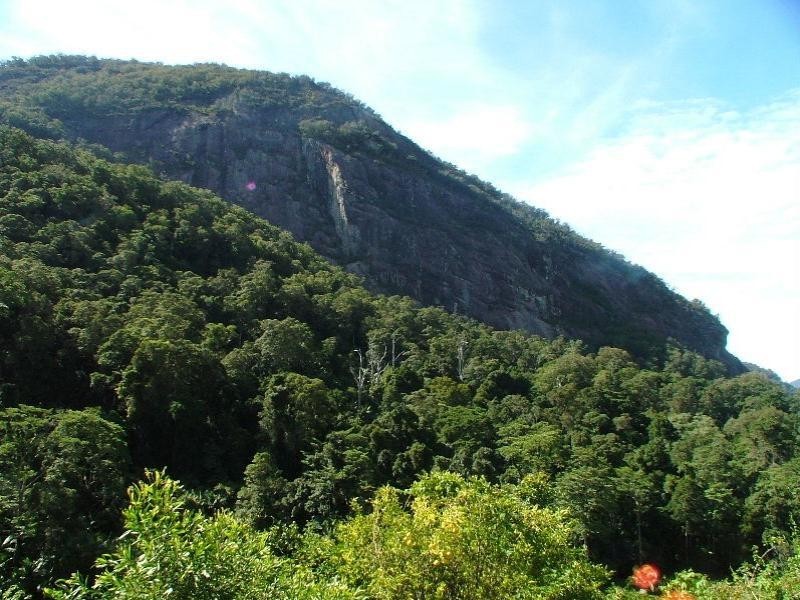 Cedar Creek NSW 2484