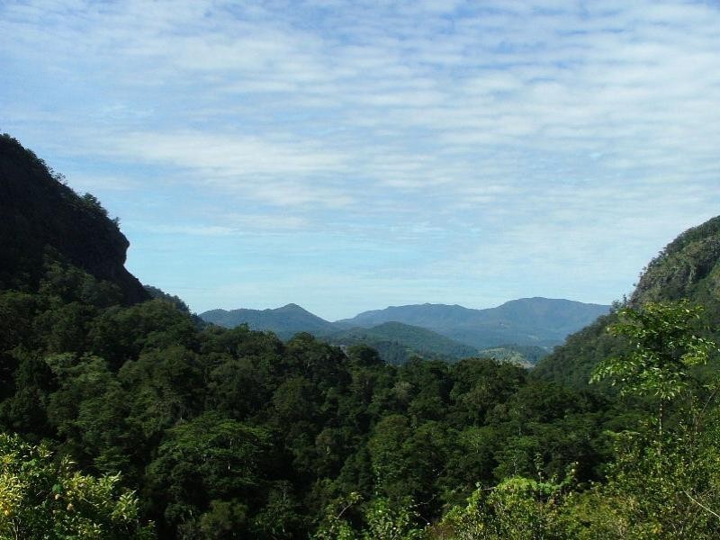 Cedar Creek NSW 2484