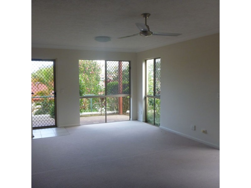 Murwillumbah NSW 2484