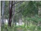 Mooball NSW 2483