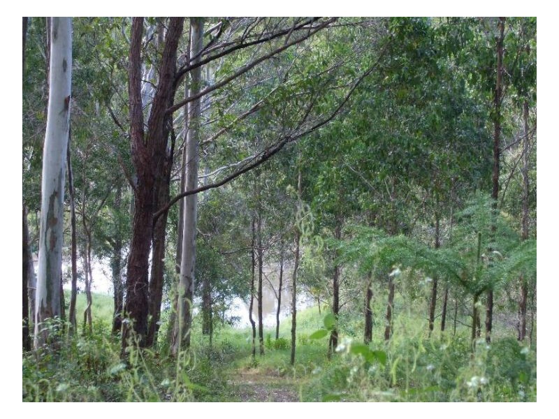 Mooball NSW 2483