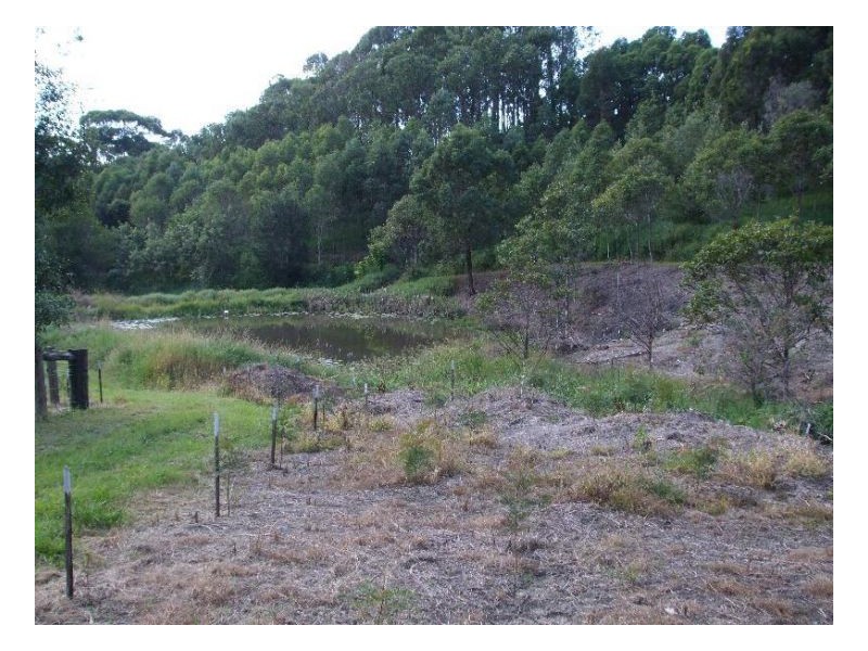 Mooball NSW 2483