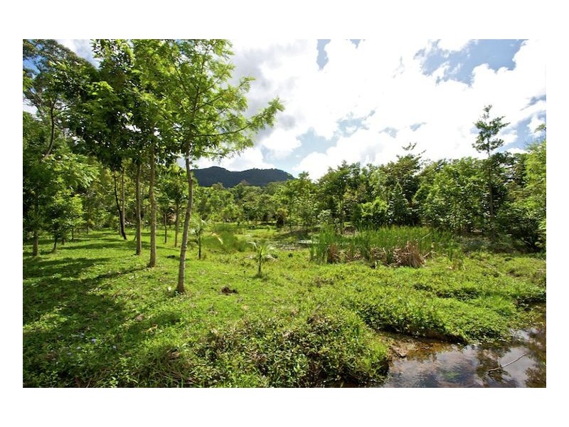 13 Pigeonberry Road, Nobbys Creek NSW 2484