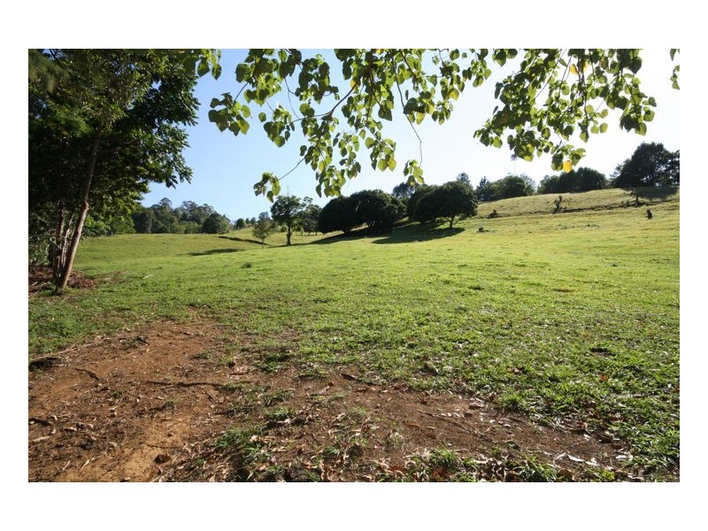 13 Pigeonberry Road, Nobbys Creek NSW 2484