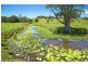 80 Reserve Creek Road, Murwillumbah NSW 2484