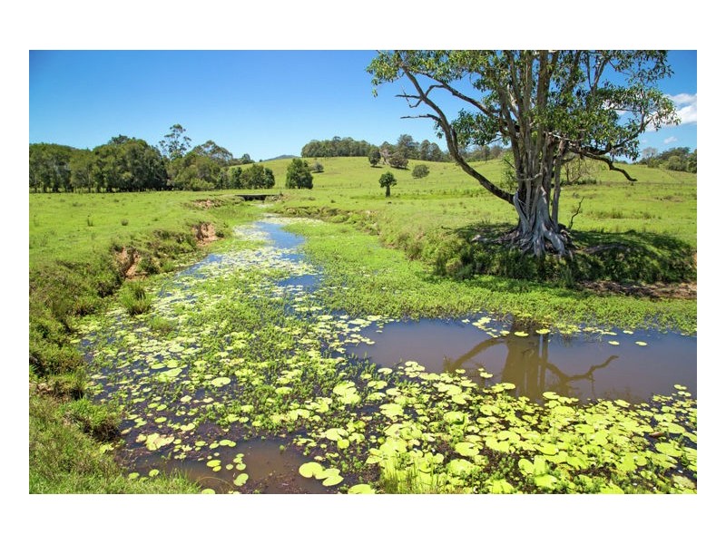 80 Reserve Creek Road, Murwillumbah NSW 2484