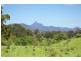 80 Reserve Creek Road, Murwillumbah NSW 2484