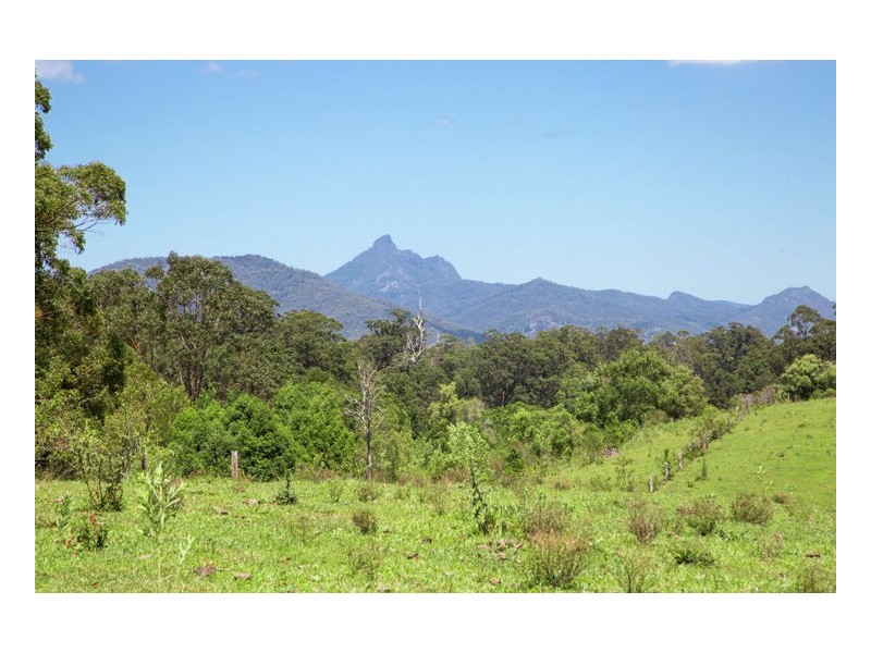 80 Reserve Creek Road, Murwillumbah NSW 2484