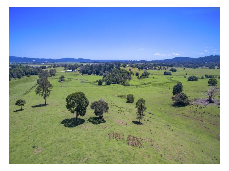 80 Reserve Creek Road, Murwillumbah NSW 2484
