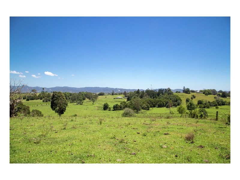 80 Reserve Creek Road, Murwillumbah NSW 2484