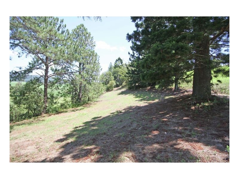 Crabbes Creek NSW 2483