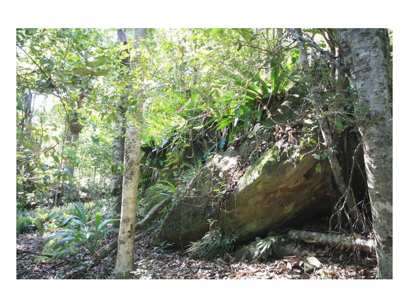 Hopkins Creek NSW 2484