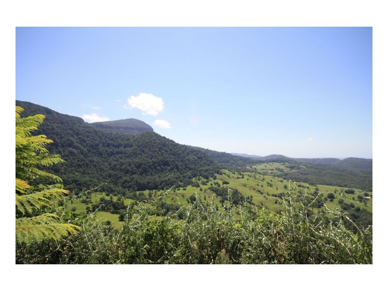 Lot 1 Numinbah Road, Numinbah NSW 2484