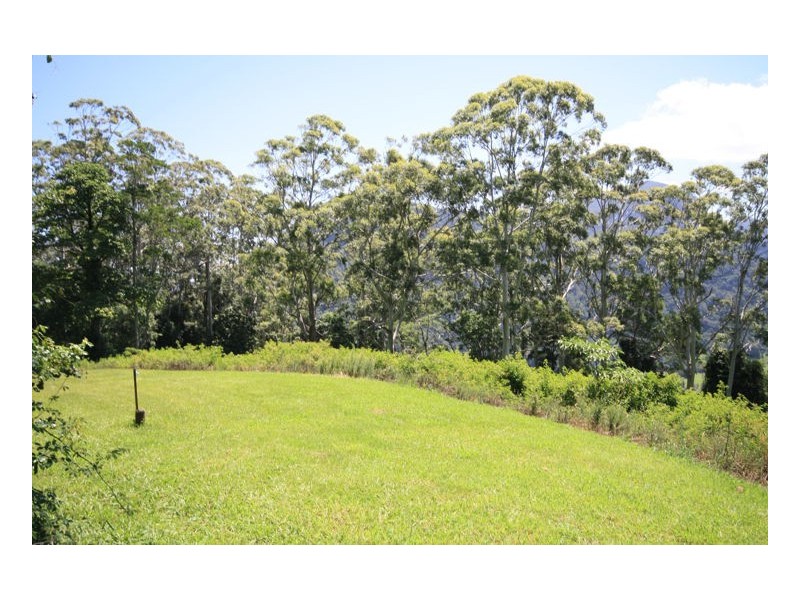 Lot 1 Numinbah Road, Numinbah NSW 2484