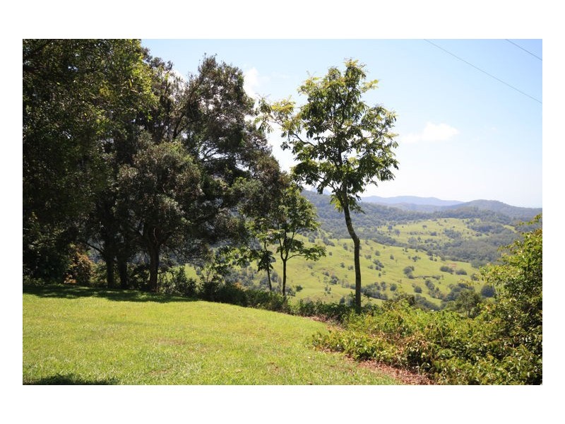 Lot 1 Numinbah Road, Numinbah NSW 2484