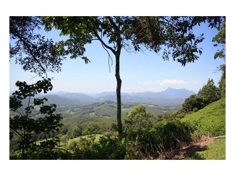 Lot 1 Numinbah Road, Numinbah NSW 2484