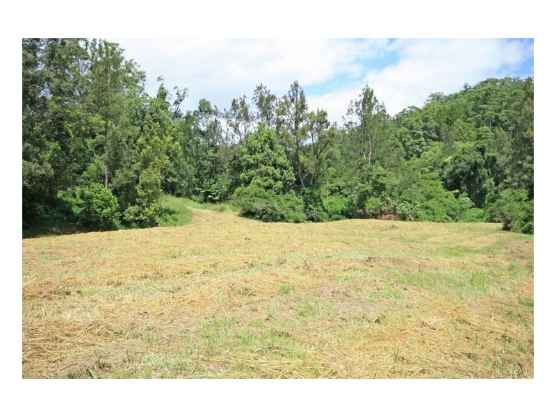 1350 Tyalgum Road, Tyalgum NSW 2484