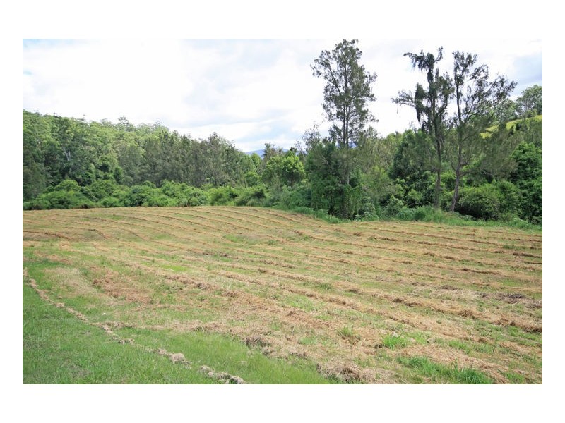 1350 Tyalgum Road, Tyalgum NSW 2484