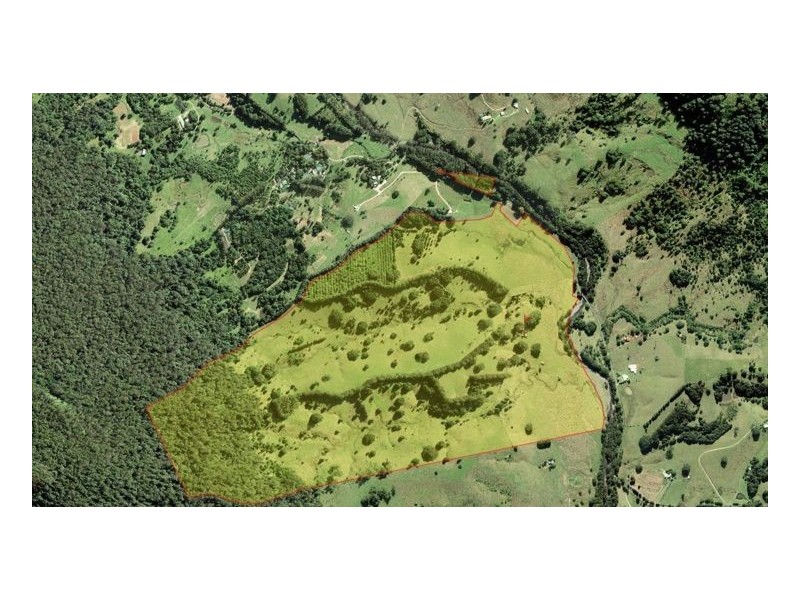 165 Limpinwood Valley Road, Limpinwood NSW 2484