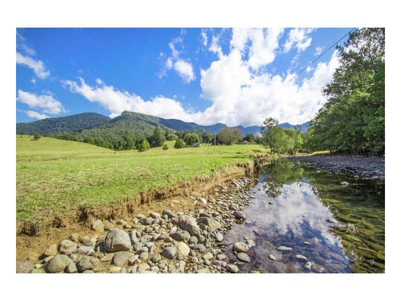 165 Limpinwood Valley Road, Limpinwood NSW 2484