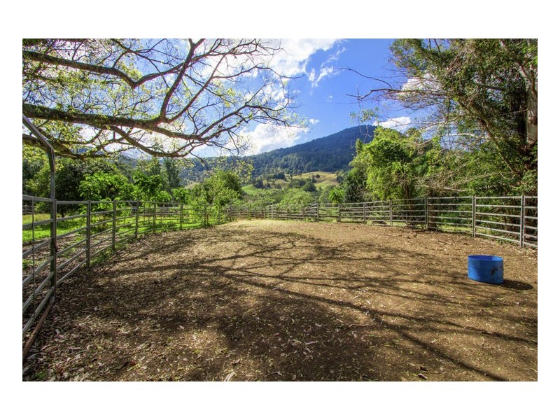 165 Limpinwood Valley Road, Limpinwood NSW 2484