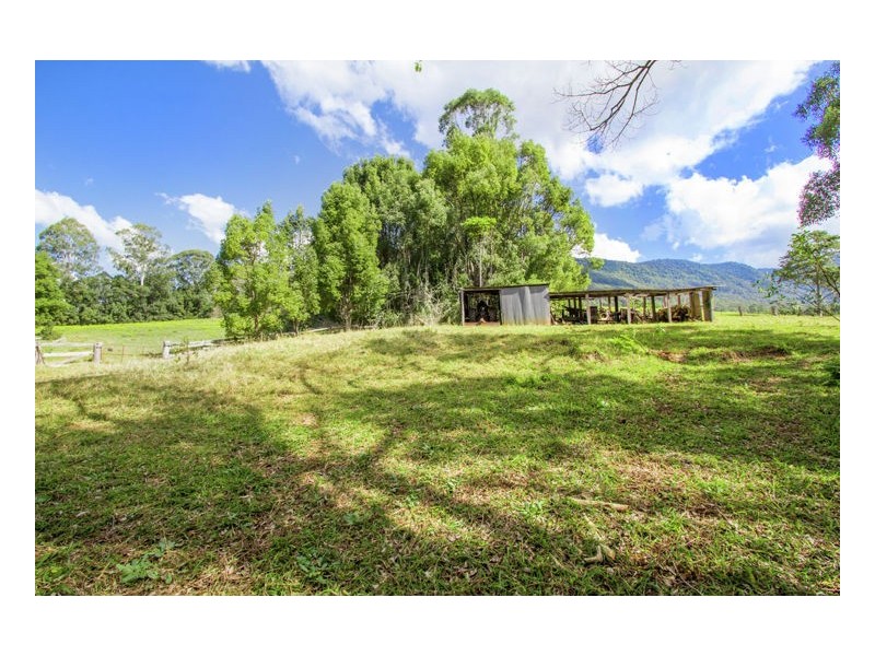 165 Limpinwood Valley Road, Limpinwood NSW 2484