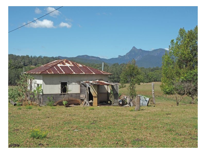 165 Limpinwood Valley Road, Limpinwood NSW 2484