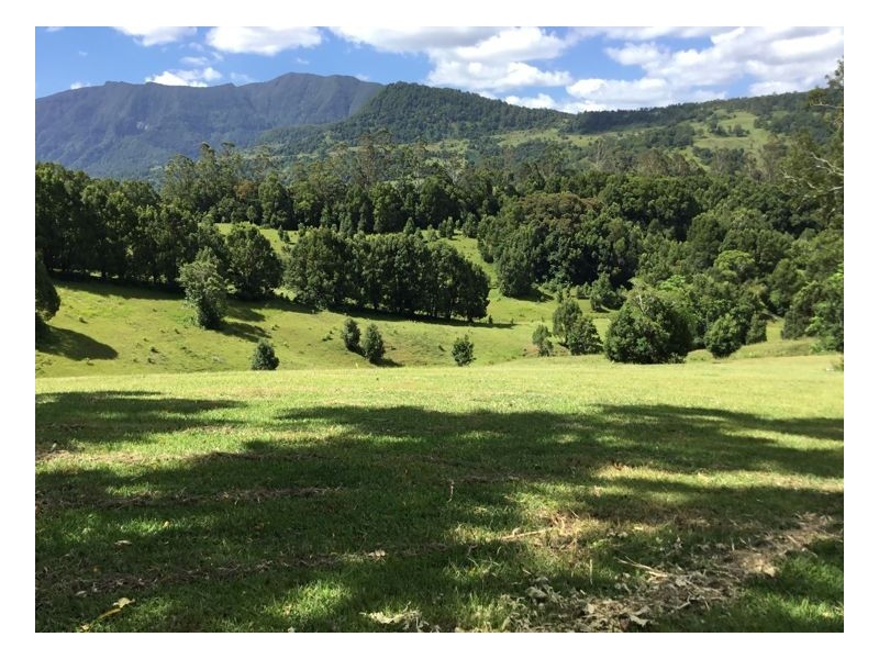 165 Limpinwood Valley Road, Limpinwood NSW 2484