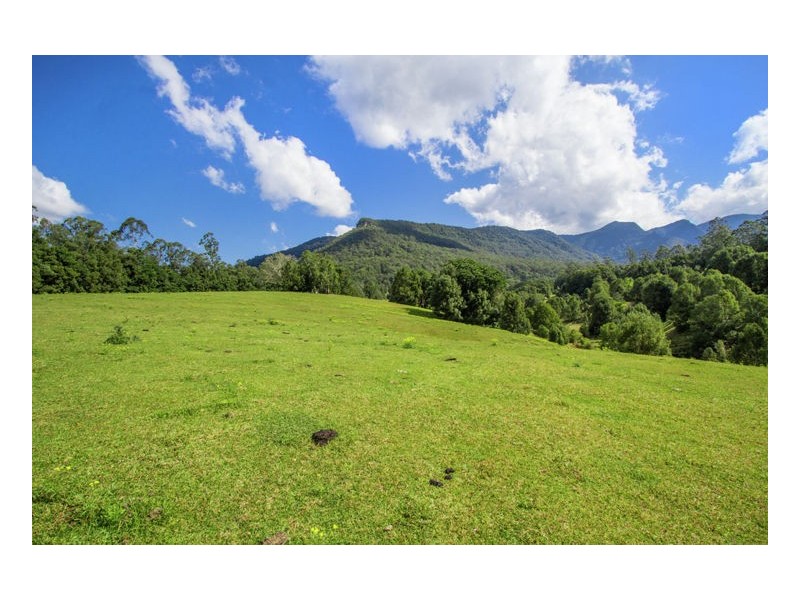 165 Limpinwood Valley Road, Limpinwood NSW 2484