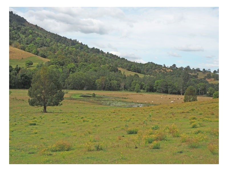 165 Limpinwood Valley Road, Limpinwood NSW 2484