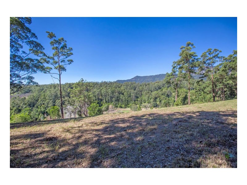 83 Mt Burrell Road, Mount Burrell NSW 2484