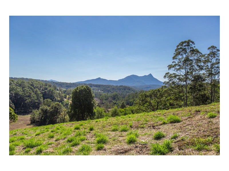 83 Mt Burrell Road, Mount Burrell NSW 2484