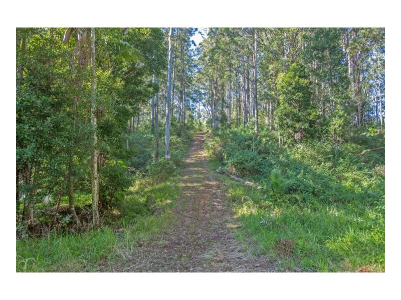 83 Mt Burrell Road, Mount Burrell NSW 2484