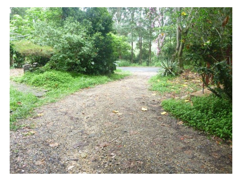 Reserve Creek NSW 2484