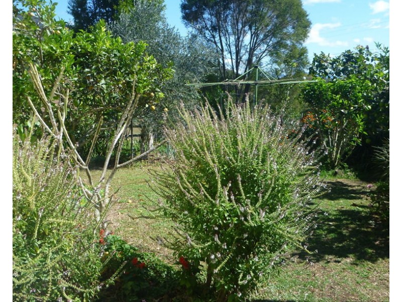 Stokers Siding NSW 2484