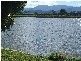 Murwillumbah NSW 2484